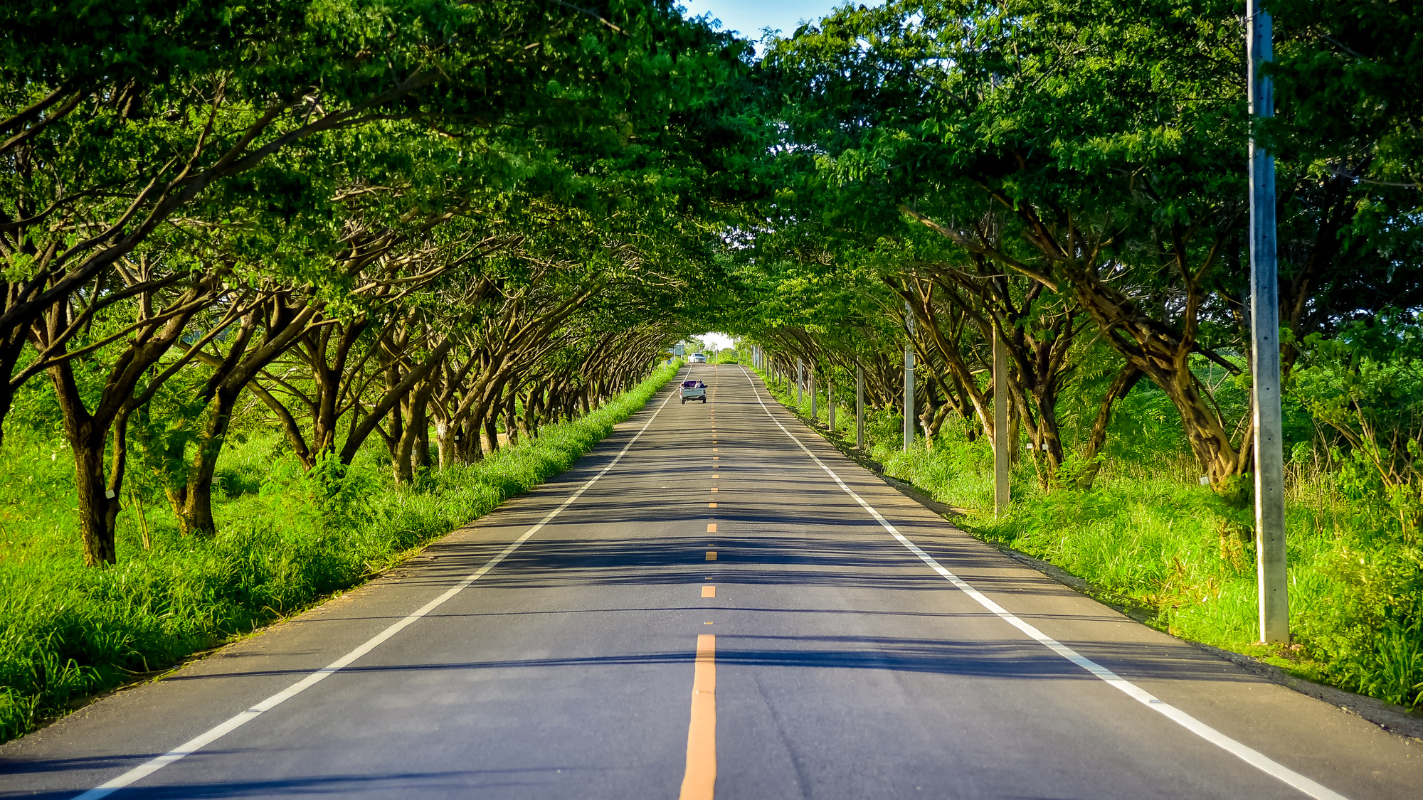 Straight road in countryside on hill slope surrounding by green trees inside tropical rainforest are